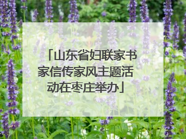 山东省妇联家书家信传家风主题活动在枣庄举办