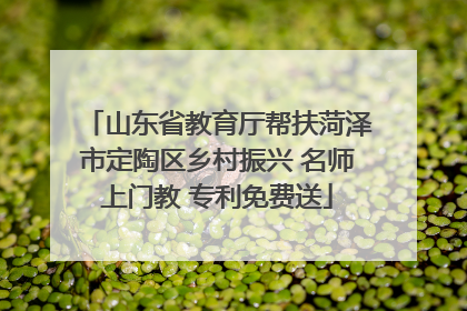 山东省教育厅帮扶菏泽市定陶区乡村振兴 名师上门教 专利免费送