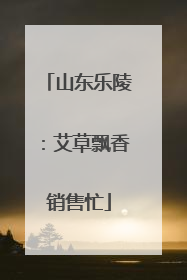 山东乐陵：艾草飘香销售忙