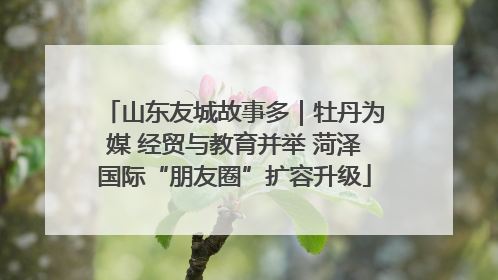 山东友城故事多｜牡丹为媒 经贸与教育并举 菏泽国际“朋友圈”扩容升级