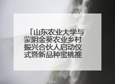 山东农业大学与蒙阴金葵农业乡村振兴合伙人启动仪式暨新品种蜜桃推介活动举行