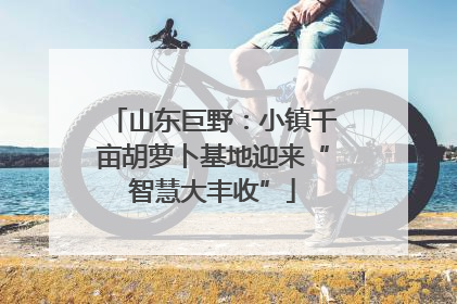 山东巨野：小镇千亩胡萝卜基地迎来“智慧大丰收”