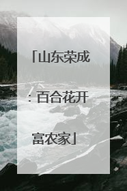 山东荣成：百合花开富农家