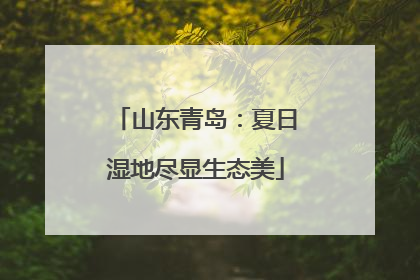 山东青岛：夏日湿地尽显生态美