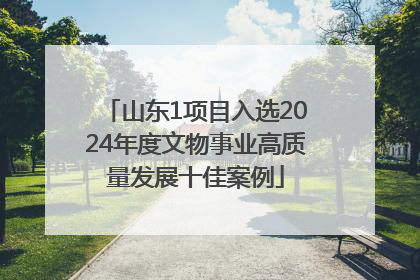 山东1项目入选2024年度文物事业高质量发展十佳案例