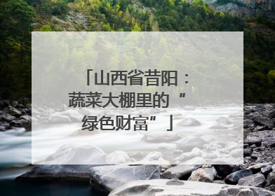 山西省昔阳：蔬菜大棚里的“绿色财富”