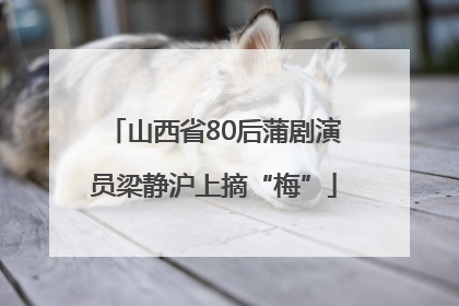 山西省80后蒲剧演员梁静沪上摘“梅”