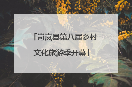 岢岚县第八届乡村文化旅游季开幕