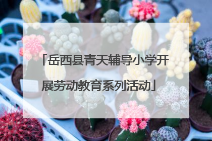 岳西县青天辅导小学开展劳动教育系列活动