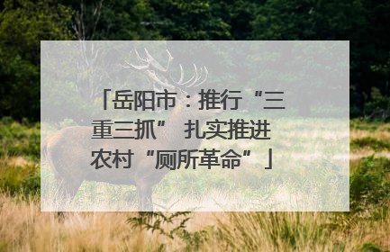 岳阳市：推行“三重三抓” 扎实推进农村“厕所革命”