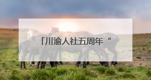 川渝人社五周年“成绩单”：协同发展托起民生幸福