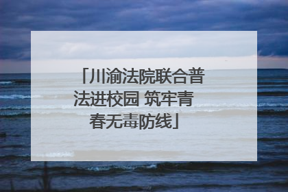 川渝法院联合普法进校园 筑牢青春无毒防线
