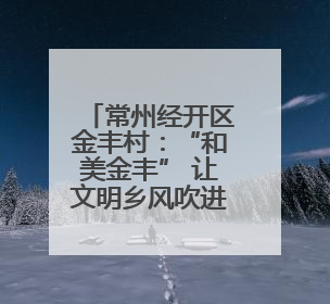 常州经开区金丰村：“和美金丰” 让文明乡风吹进门