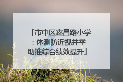 市中区鑫昌路小学：体测防近视并举 助推综合绩效提升