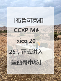 布鲁可亮相 CCXP México 2025，正式进入墨西哥市场