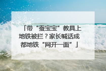 带“蚕宝宝”教具上地铁被拦？家长喊话成都地铁“网开一面”