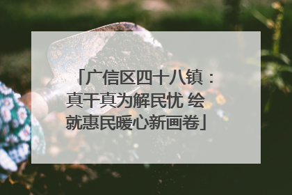 广信区四十八镇：真干真为解民忧 绘就惠民暖心新画卷