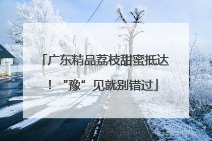 广东精品荔枝甜蜜抵达！“豫”见就别错过