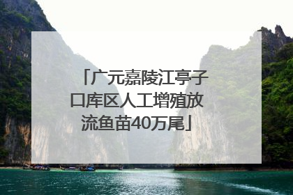 广元嘉陵江亭子口库区人工增殖放流鱼苗40万尾
