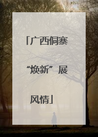 广西侗寨“焕新”展风情