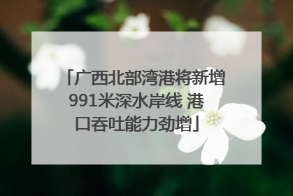 广西北部湾港将新增991米深水岸线 港口吞吐能力劲增