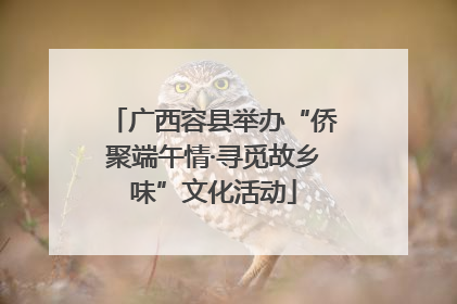广西容县举办“侨聚端午情·寻觅故乡味”文化活动
