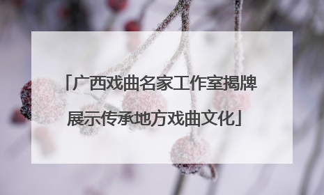 广西戏曲名家工作室揭牌 展示传承地方戏曲文化