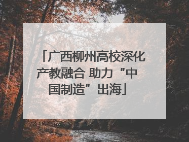 广西柳州高校深化产教融合 助力“中国制造”出海