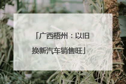 广西梧州：以旧换新汽车销售旺