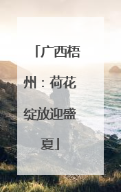 广西梧州：荷花绽放迎盛夏