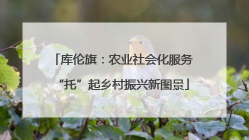 库伦旗：农业社会化服务“托”起乡村振兴新图景