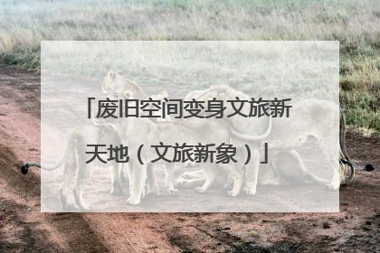 废旧空间变身文旅新天地（文旅新象）