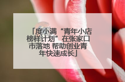度小满“青年小店榜样计划”在张家口市落地 帮助创业青年快速成长