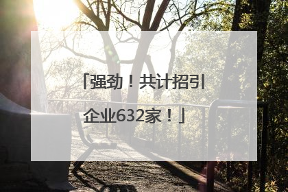 强劲！共计招引企业632家！