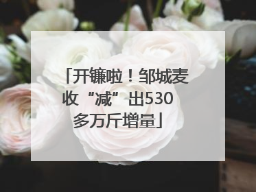 开镰啦！邹城麦收“减”出530多万斤增量