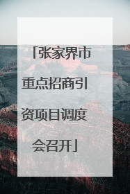 张家界市重点招商引资项目调度会召开