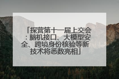 探营第十一届上交会：脑机接口、大模型安全、跨境身份核验等新技术将悉数亮相