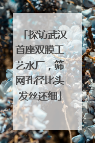 探访武汉首座双膜工艺水厂，筛网孔径比头发丝还细