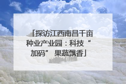探访江西南昌千亩种业产业园：科技“加码” 果蔬飘香