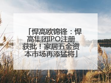 悍高欧锦锋：悍高集团IPO注册获批！家居五金资本市场再添猛将