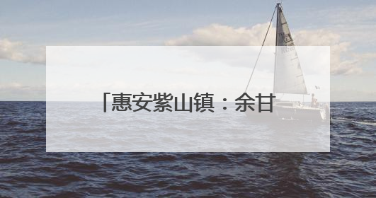 惠安紫山镇：余甘“小酸果”酿出乡村振兴“大甜头”
