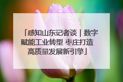 感知山东记者谈｜数字赋能工业转型 枣庄打造高质量发展新引擎