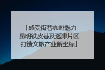 感受街巷咖啡魅力 昆明铁皮巷及巡津片区打造文旅产业新坐标