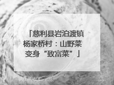 慈利县岩泊渡镇杨家桥村：山野菜变身“致富菜”