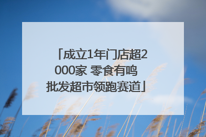 成立1年门店超2000家 零食有鸣批发超市领跑赛道
