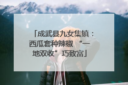 成武县九女集镇：西瓜套种辣椒 “一地双收”巧致富