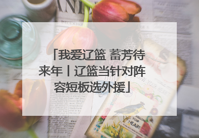 我爱辽篮 蓄芳待来年丨辽篮当针对阵容短板选外援