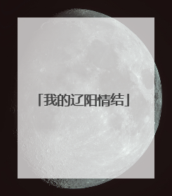 我的辽阳情结