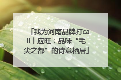 我为河南品牌打call丨应旺：品味“毛尖之都”的诗意栖居