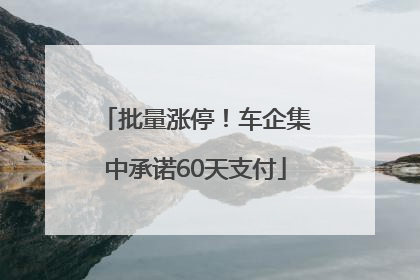 批量涨停!车企集中承诺60天支付